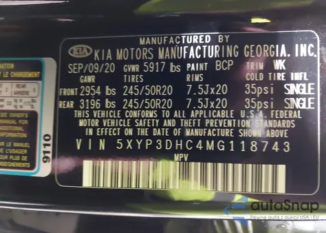 2021 Kia Telluride Ex from USA, damaged, VIN 5XYP3DHC4MG118743
